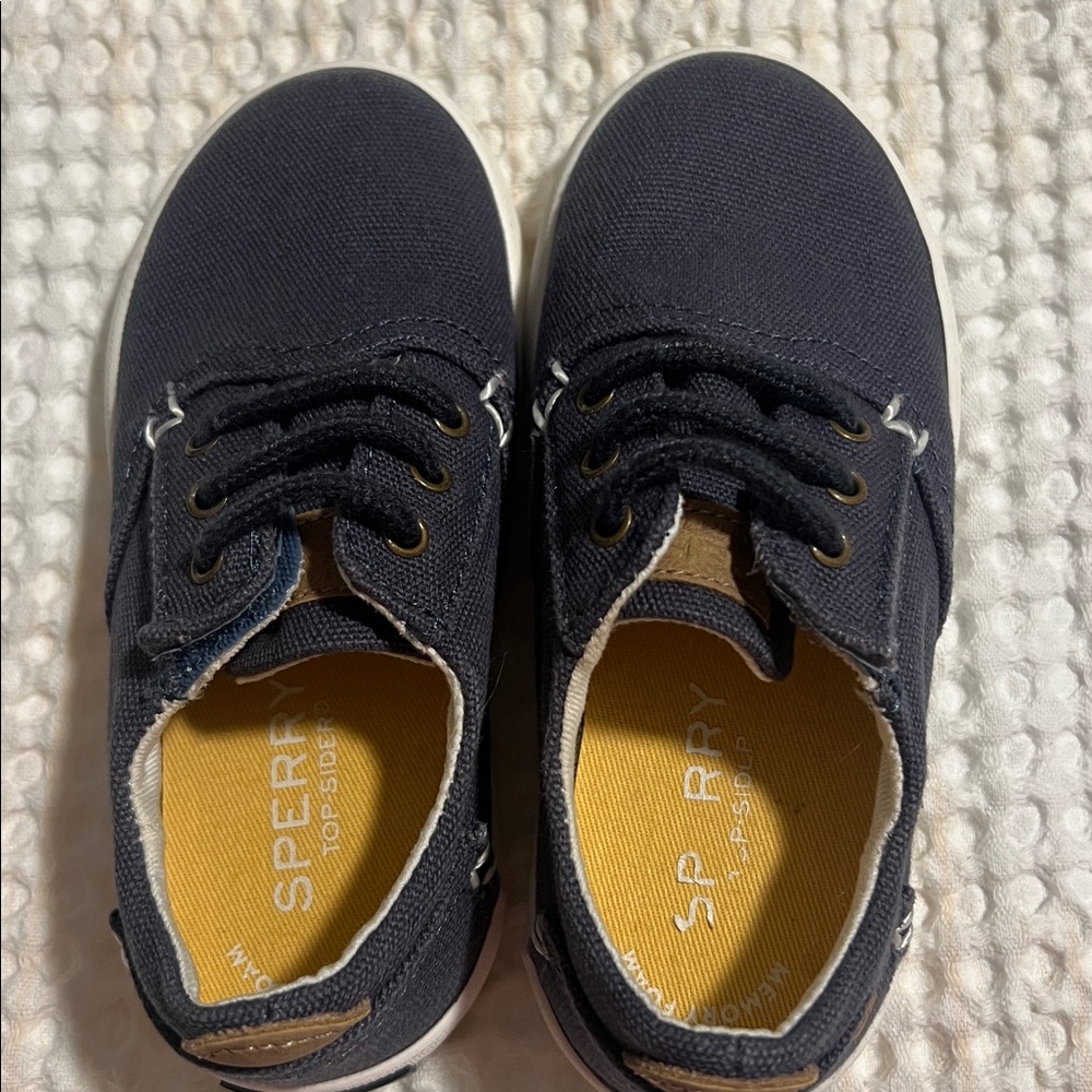 Sperry Navy Canvas Sneakers